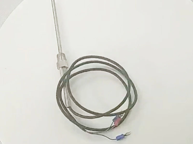 100mm Stainless Probe 1m Rubber Cable RTD